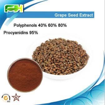 Factory Supply Polyphenols_ Procyanidins_Grape  seed Extract